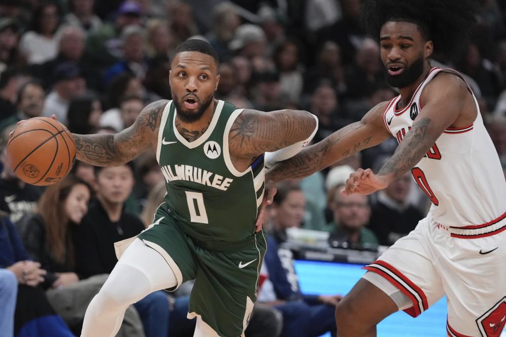 了一个展示 了一个展示